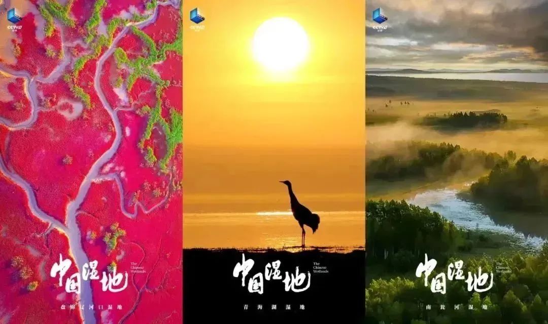 640?wx_fmt=jpeg ͼƬ