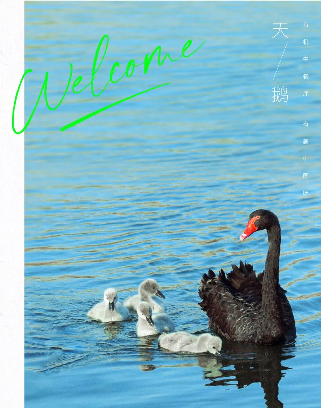 640?wx_fmt=jpeg 图片