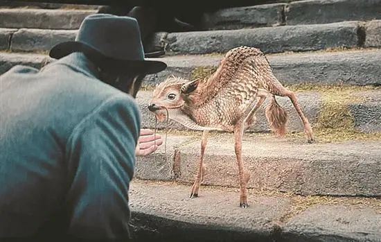 640?wx_fmt=jpeg 图片