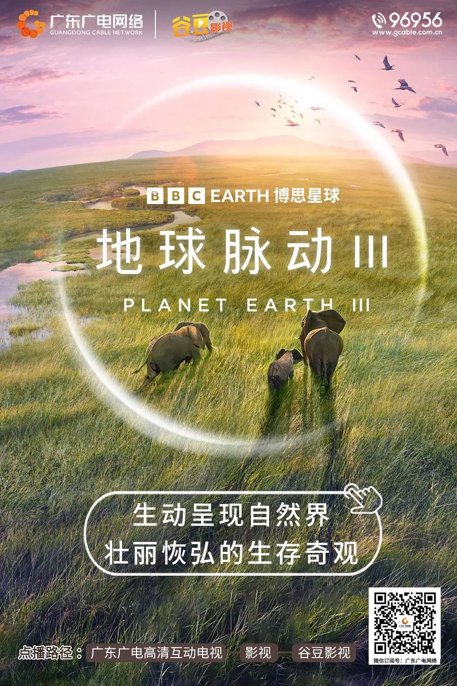 640?wx_fmt=jpeg ͼƬ