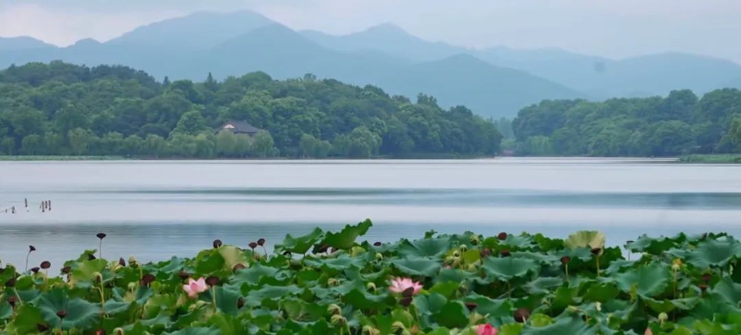 640?wx_fmt=png&from=appmsg 图片