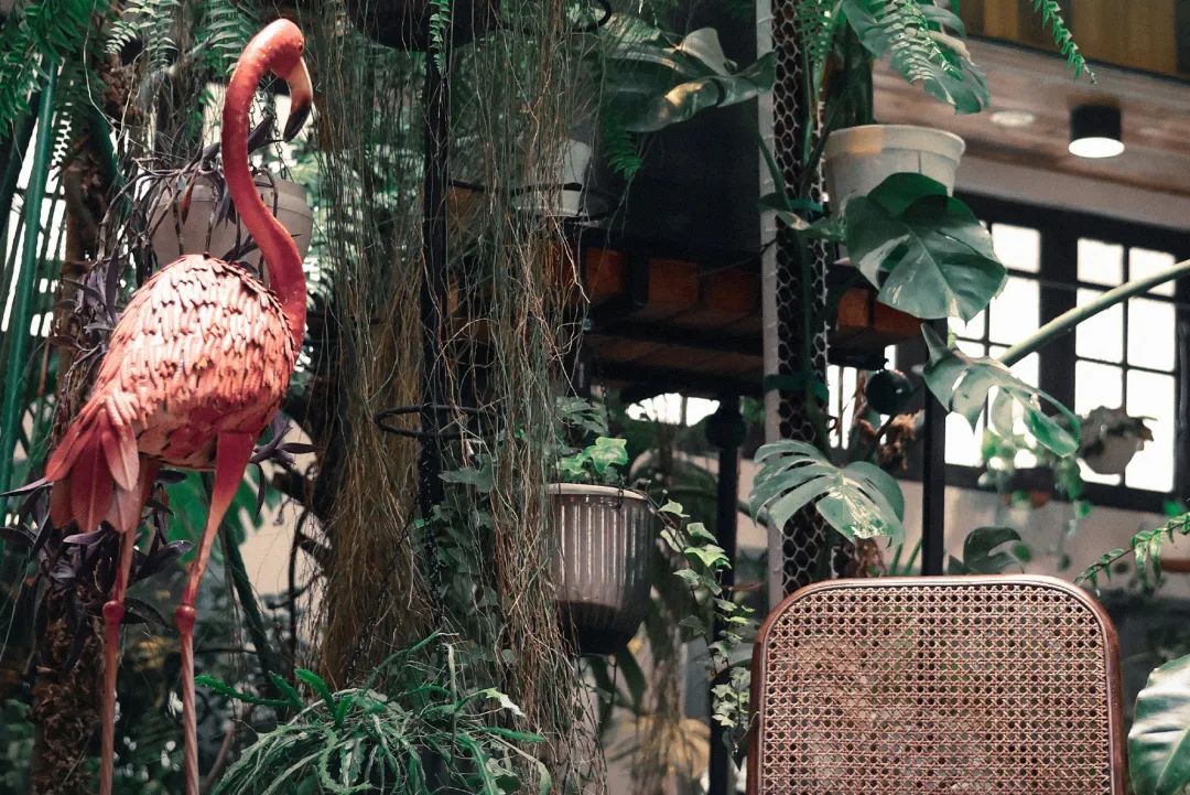 640?wx_fmt=jpeg&from=appmsg 图片