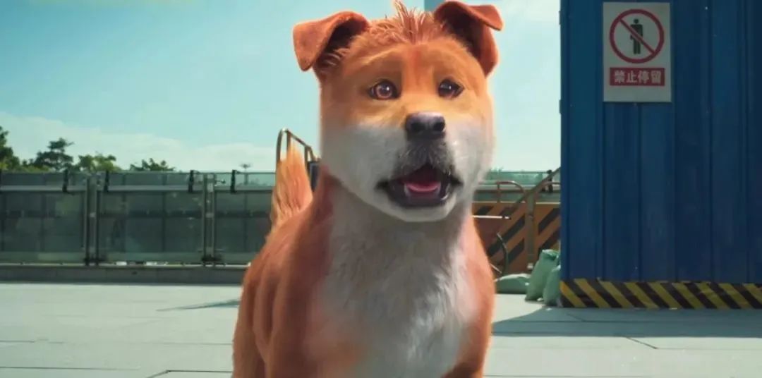 640?wx_fmt=jpeg&from=appmsg 图片