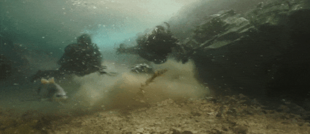 640?wx_fmt=gif&from=appmsg ͼƬ