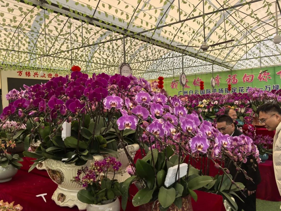 640?wx_fmt=jpeg ͼƬ